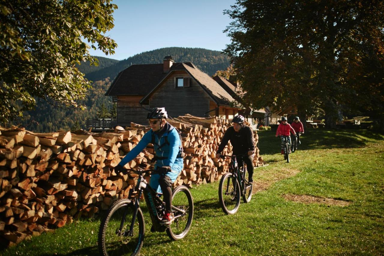 Lake Peak Apartments, Ribnisko Pohorje Ribnica na Pohorju Bagian luar foto