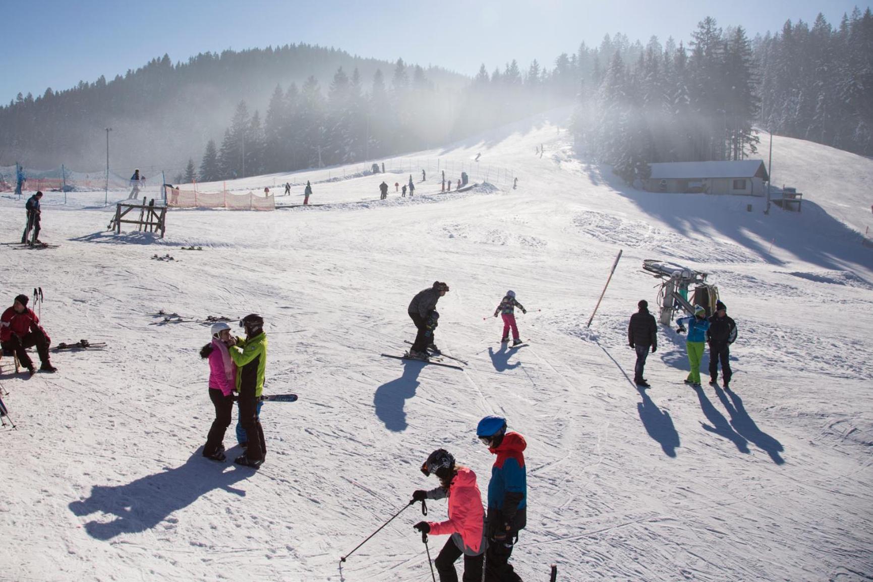Lake Peak Apartments, Ribnisko Pohorje Ribnica na Pohorju Bagian luar foto