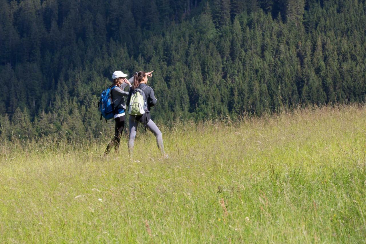 Lake Peak Apartments, Ribnisko Pohorje Ribnica na Pohorju Bagian luar foto