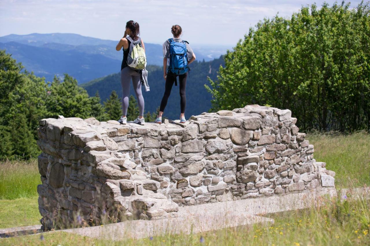 Lake Peak Apartments, Ribnisko Pohorje Ribnica na Pohorju Bagian luar foto