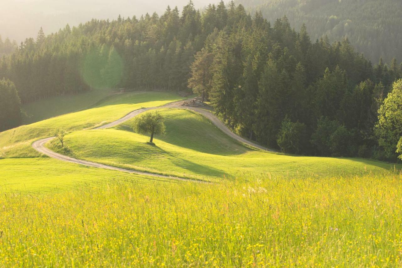 Lake Peak Apartments, Ribnisko Pohorje Ribnica na Pohorju Bagian luar foto