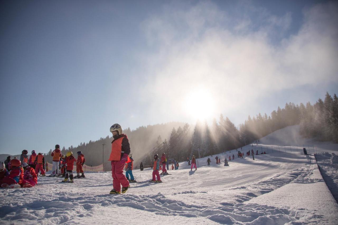 Lake Peak Apartments, Ribnisko Pohorje Ribnica na Pohorju Bagian luar foto